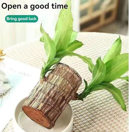 3719